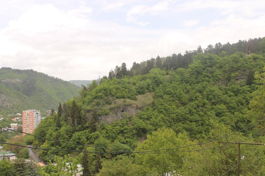 Anastasia Guesthouse Borjomi Esterno foto